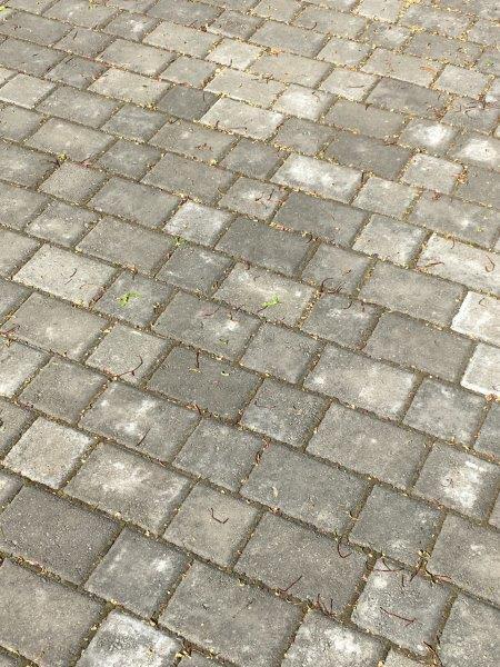 Cobblestone paver pattern 2019